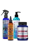 Judy's Faves Bundle